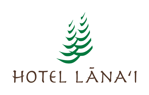 Hotel Lanai