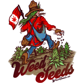 WeedSeeds