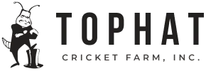 Top Hat Crickets