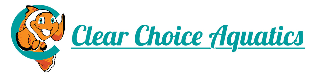 Clear Choice Aquatics