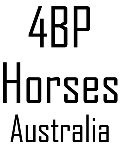 4Bp Horses