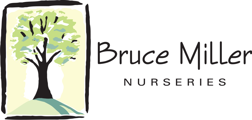 Bruce Miller Nursery