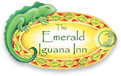 Emerald Iguana