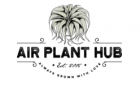 Air Plant Hub