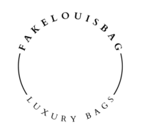 Fake Louis Bag