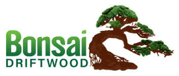 Bonsai Driftwood