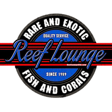 Reef Lounge Usa