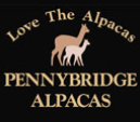 Pennybridge Alpacas