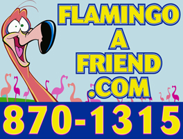 Flamingo a Friend