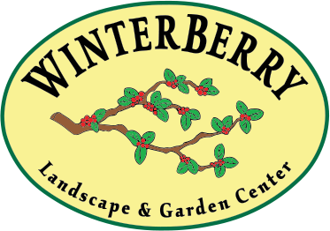 Winterberry Gardens