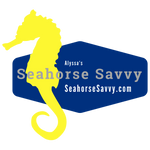 Seahorse Savvy