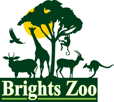 Brights Zoo