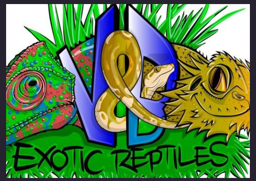 Exotic Reptiles