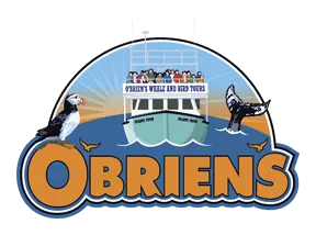 o brien's boat tour