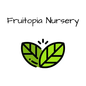 Fruitopia Nursery