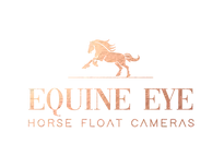 equine eye