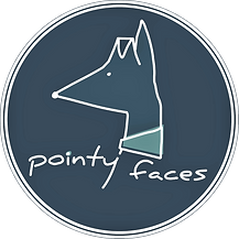 Pointy Faces