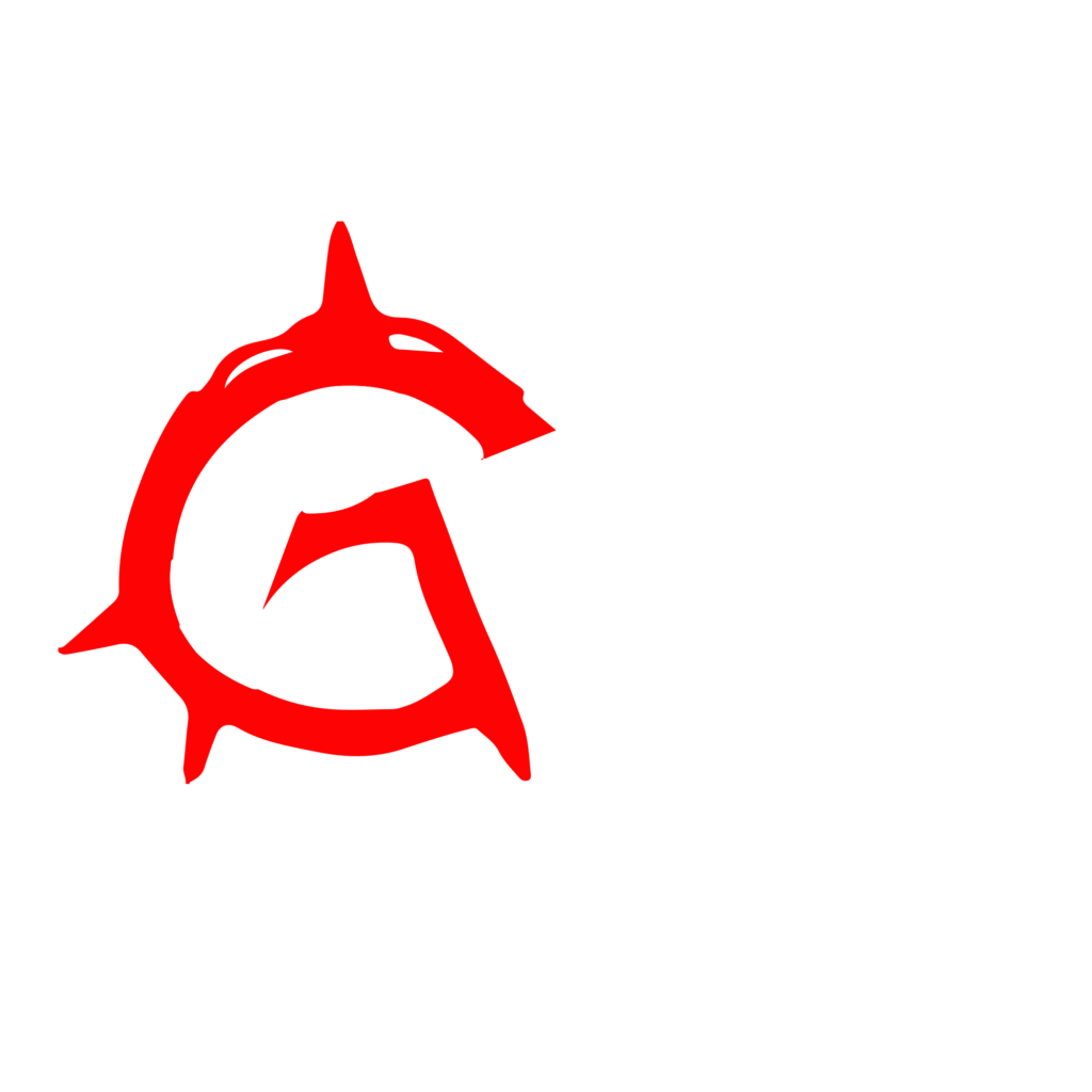 Anarchy Gym