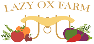 Lazy Ox Farm