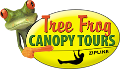 Tree Frog Canopy Tours
