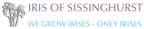 iris of sissinghurst