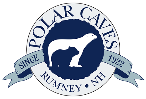 Polar Caves