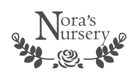 Nora's Nursery