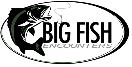Big Fish Encounters