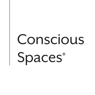Conscious Spaces