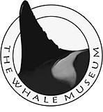 Whale Museum