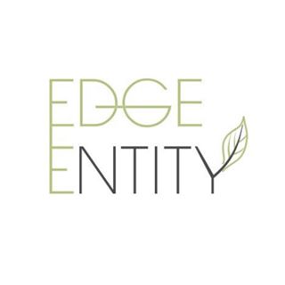 Edge Entity