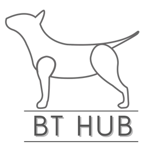 Bt Hub