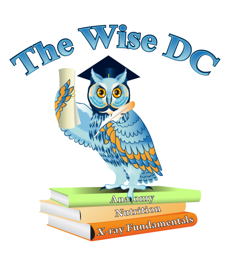 The Wise DC