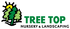 Tree Top Nursery