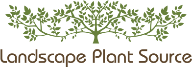 Landscape Plant Source
