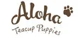 Aloha Teacup Puppies