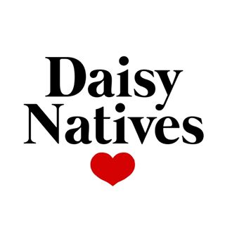 Daisy Natives