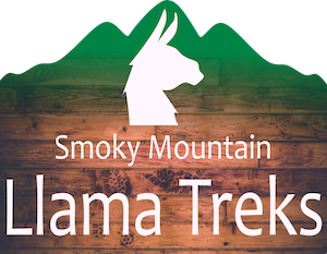Smoky Mountain Llama Treks
