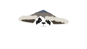 PandaBoost