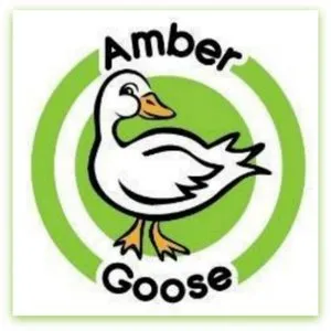 Amber Goose
