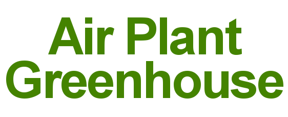 Air Plant Greenhouse