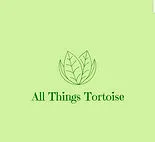 All Things Tortoise