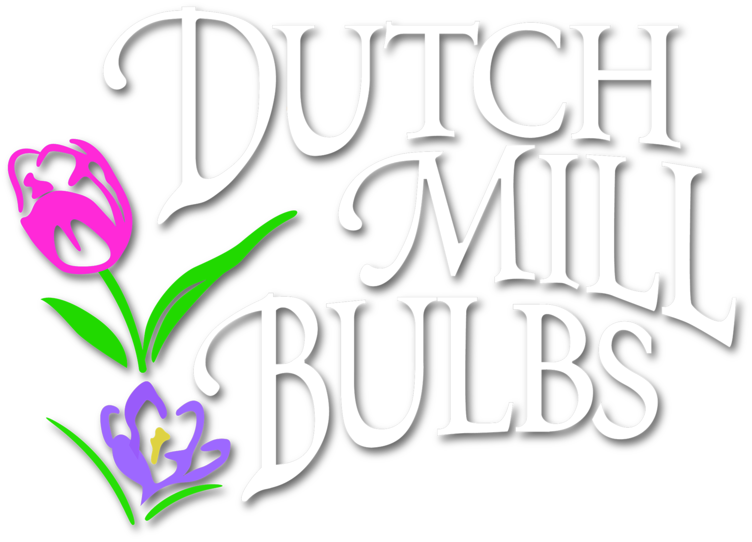 Dutch Mill Bulbs