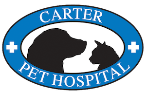 Carter Pet Hospital