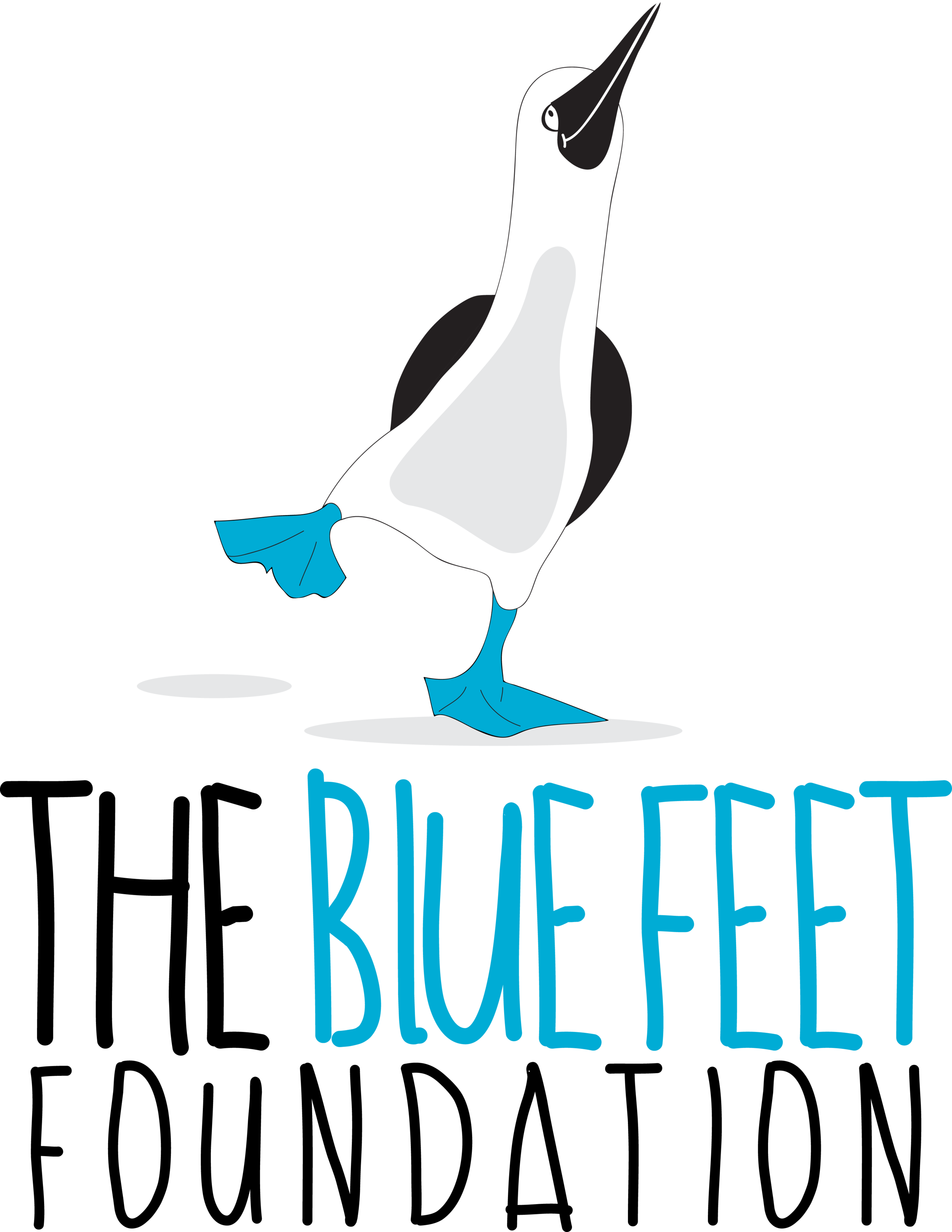Blue Feet Foundation