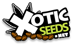 Xotic Seeds
