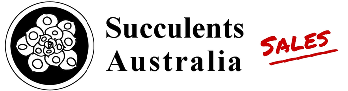 Succulents Australia