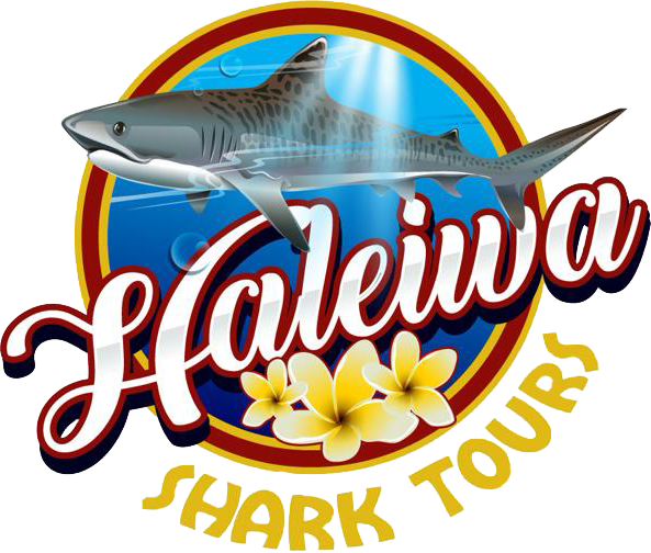 Haleiwa Shark Tours
