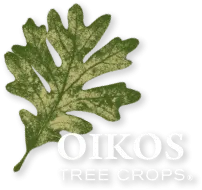 OIKOS Tree Crops