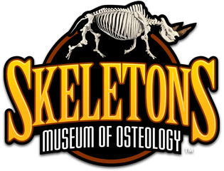 Skeleton Museum